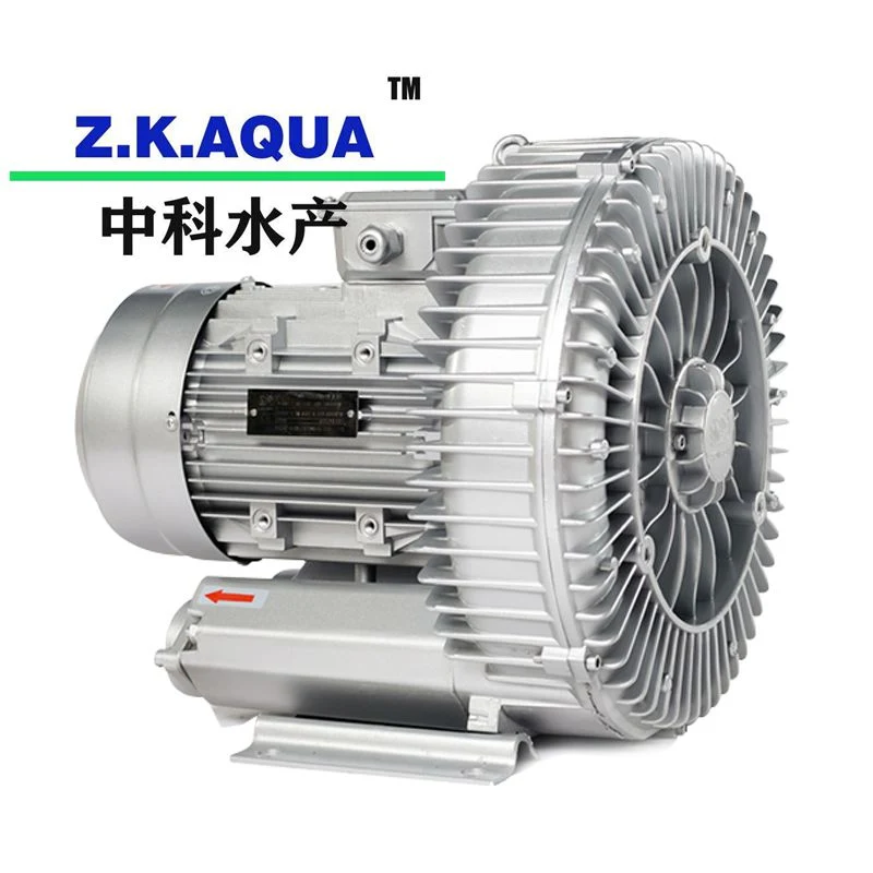 Application of High Quality Blower in Multi-Scene to Improve Fish Survival Rate, Increase Oxygen and Add Oxygen Blower
