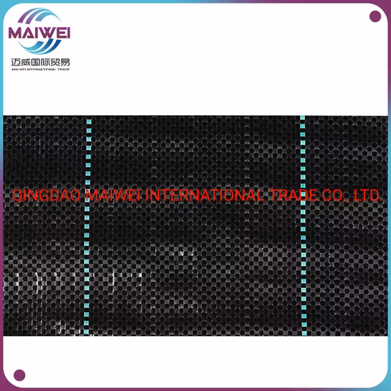 Geotextile Fabrics Woven Weed Fabric Grass Cloth Other Agriculture Products with Good Quality